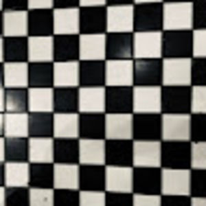 Meet your Posher, Maisy